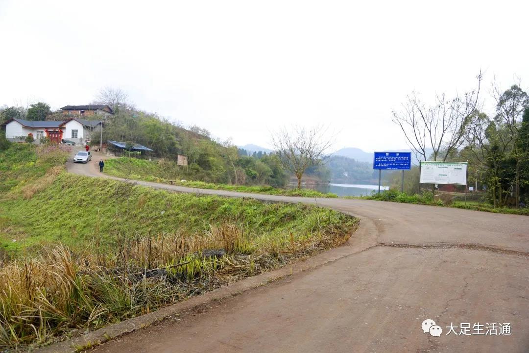 赏桃花,就来桃花岛 浪漫的桃花林 能给你不一样的心情和美景 ▼ 石马