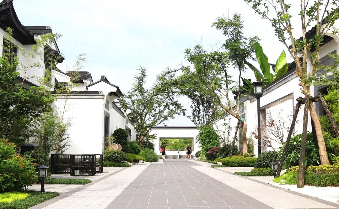 重庆桃李春风示范区 阅遍世界,重归院子