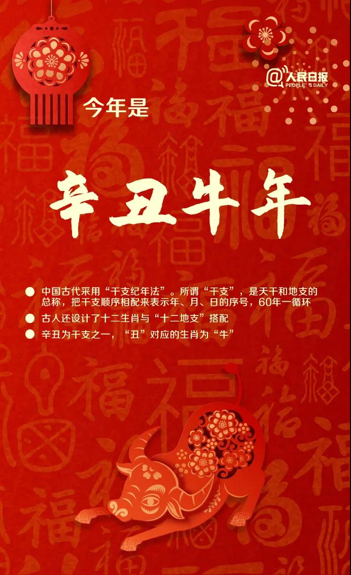 牛年只有354天!关于牛年,还有哪些知识点?
