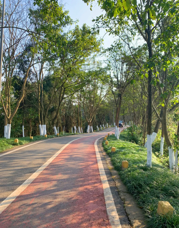 南山公园 地址:大足区一环南路东段 南山公园建成于2013年 内设登山