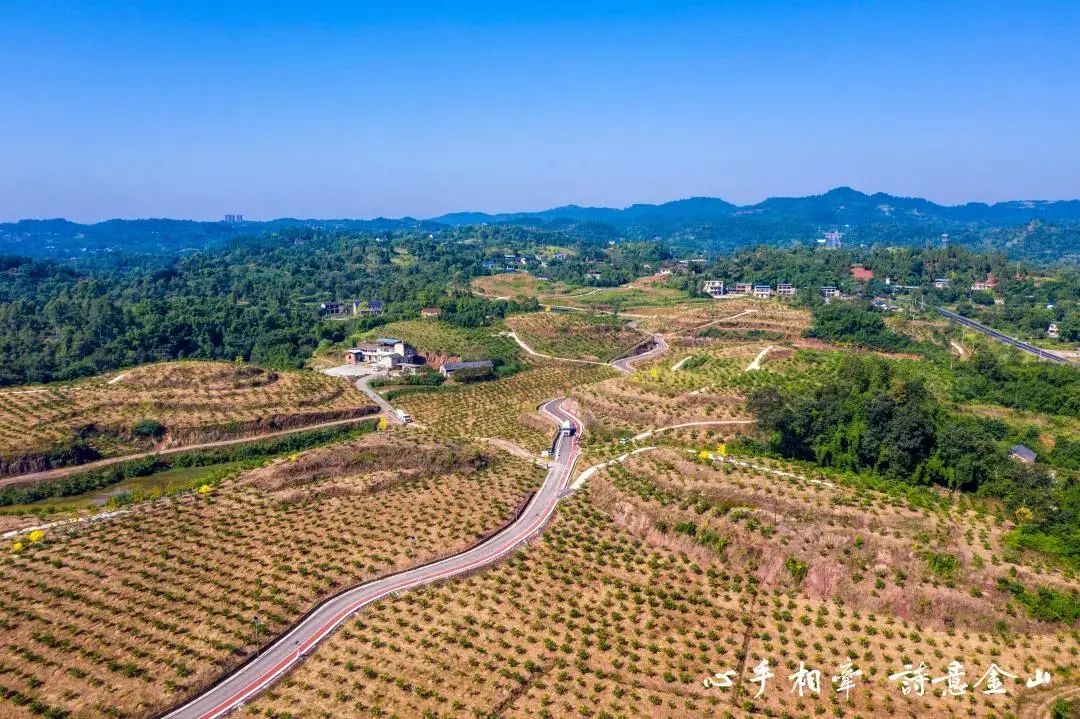 金山佛手基地    石马镇 石门村:石门路 石马镇石门村2021年农村